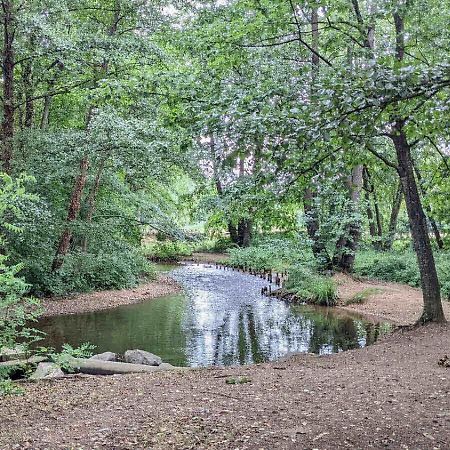 Maison Au Calme, 6 Voyageurs Riorges Buitenkant foto